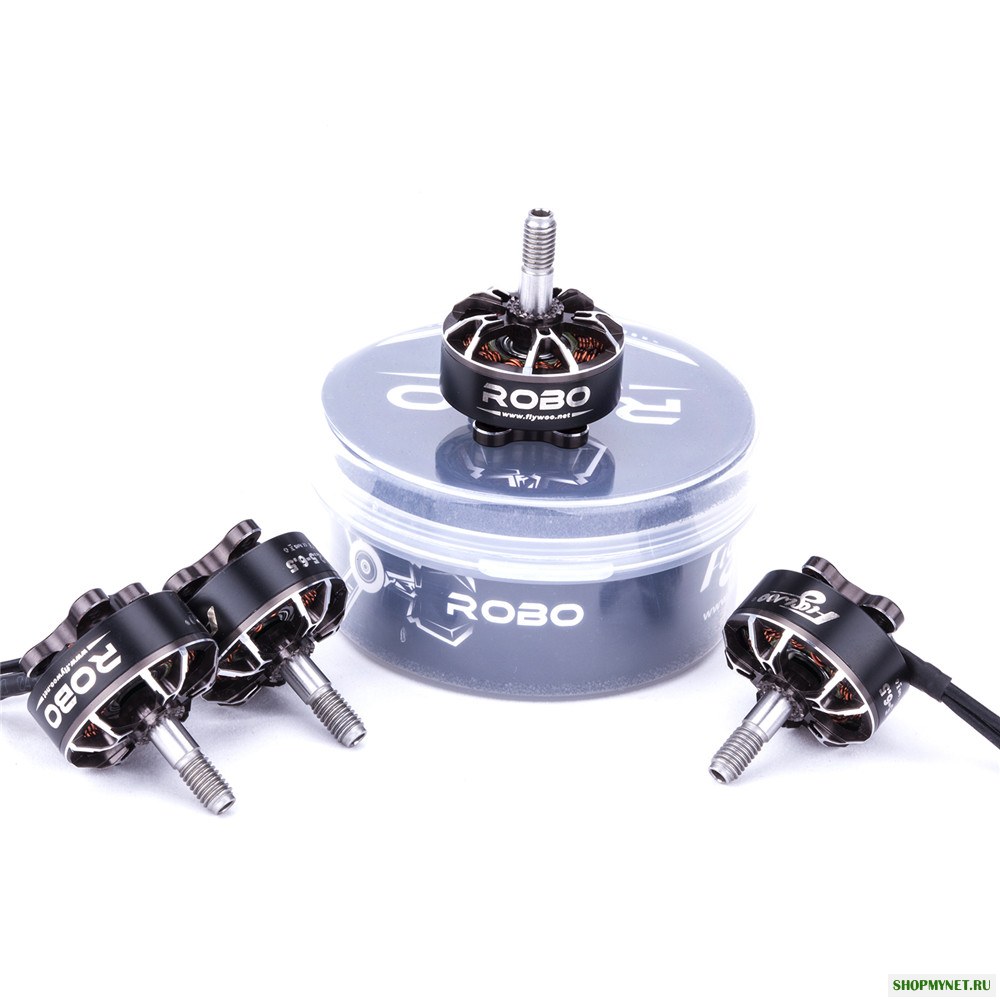 Flywoo ROBO Series Мотор RB 22,5-6,5 1750 / 2450KV 2 ~ 6S Бесколлекторный мотор Для FPV Racing RC Дрон